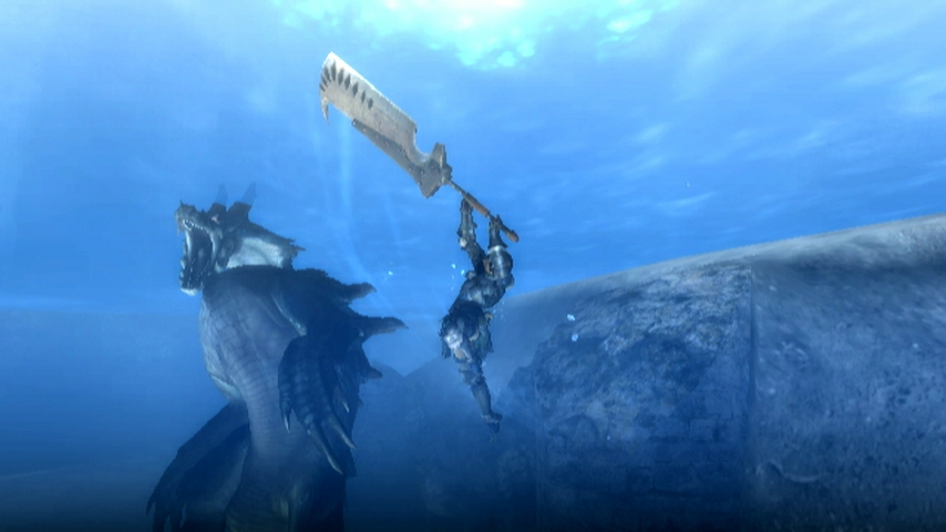 Monster Hunter Tri (3)